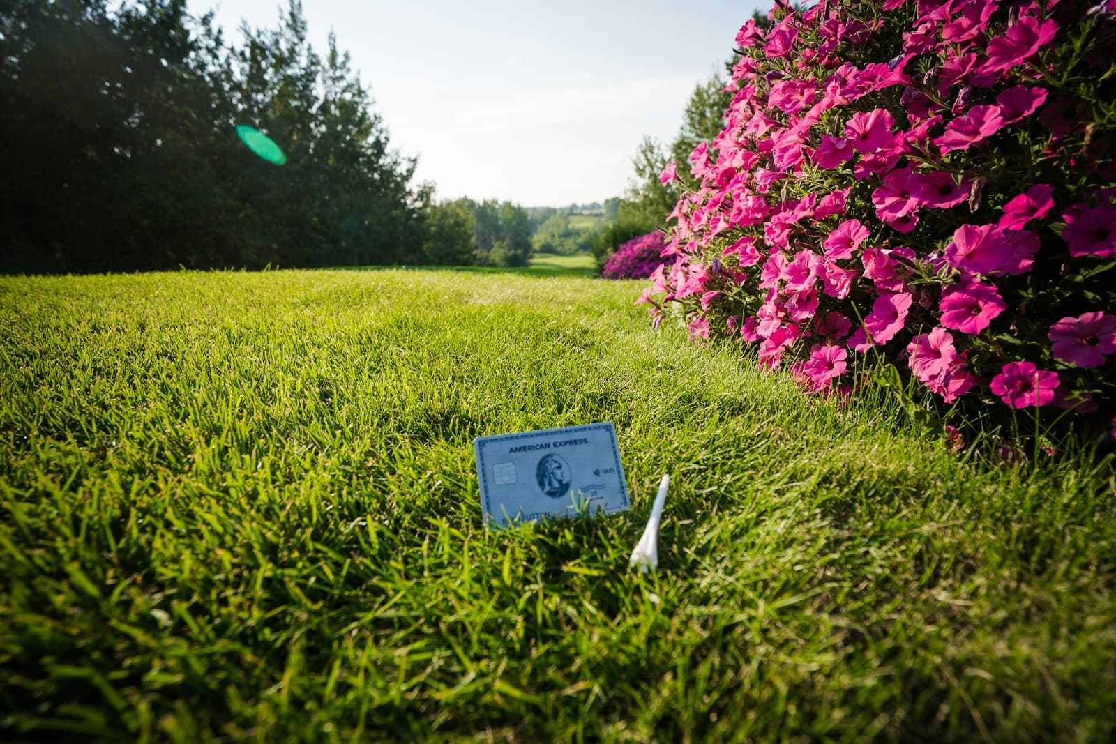 Best Credit Cards for Family Travel in 2026